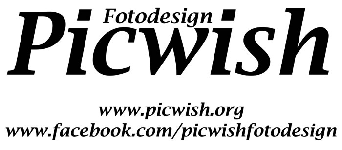Logo von Picwish - Fotodesign