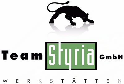 Logo von Team Styria Werkstätten GmbH